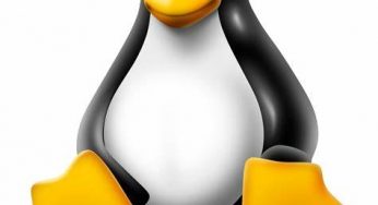 Best Linux distros of 2020: for beginners and advanced users